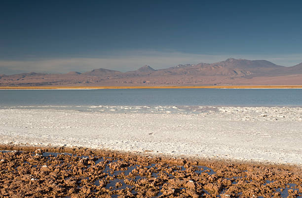 istock Laguna Cejas, Atacama desert, Chile 478002474