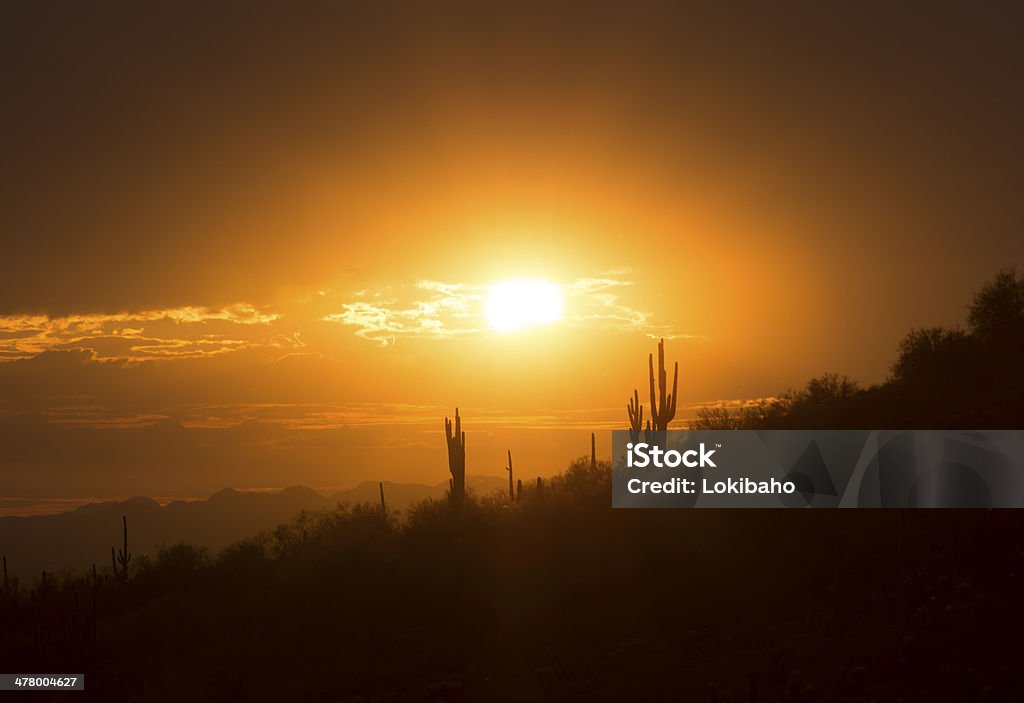 Gelbe Wüste Sonnenuntergang - Lizenzfrei Abenddämmerung Stock-Foto