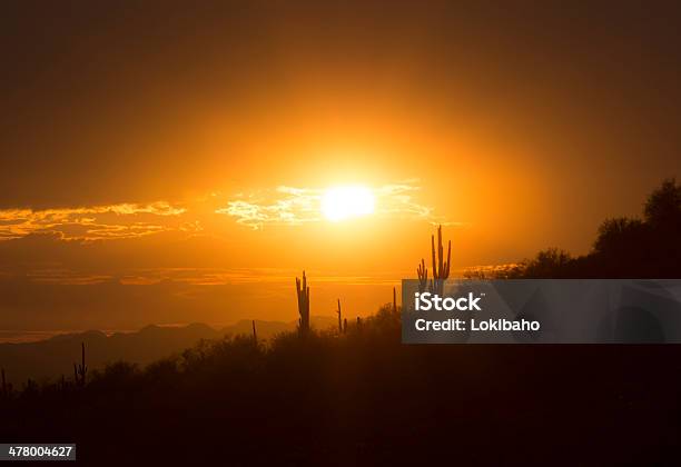 Amarillo Desierto Al Atardecer Foto de stock y más banco de imágenes de Aire libre - Aire libre, Aislado, Amarillo - Color