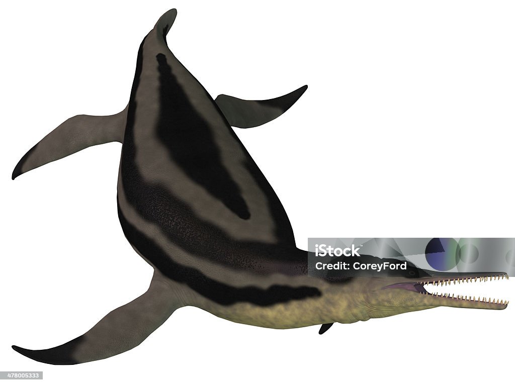 Dolichorhynchops Plesiosaur no branco - Foto de stock de Animal royalty-free