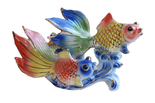 Two beautiful colored fishes are feng shui symbols