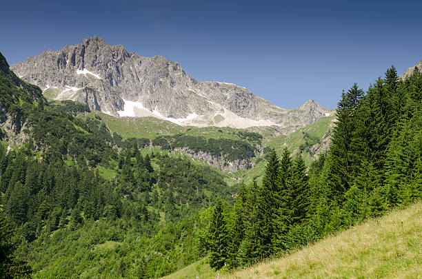 istock Mountain with rocks and firs 478006011