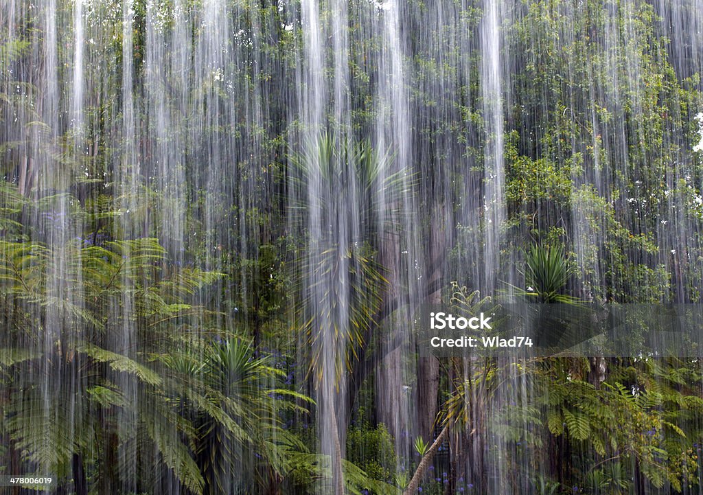 Tropikalny deszcz w dżungli - Zbiór zdjęć royalty-free (Burza)