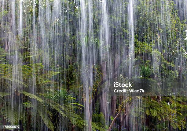 Tropikalny Deszcz W Dżungli - zdjęcia stockowe i więcej obrazów Burza - Burza, Czarny kolor, Deszcz