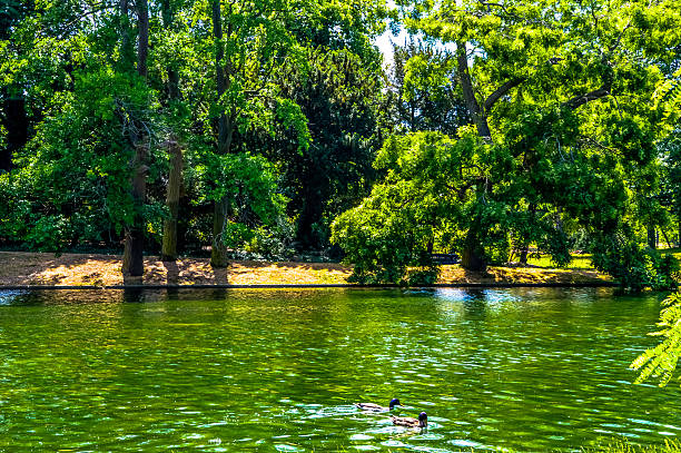 istock Amazing lake park with blue sky 478006106