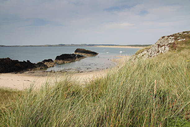istock Beach on Llandwyn Island, Anglesey, North Wales, UK.. 478006182