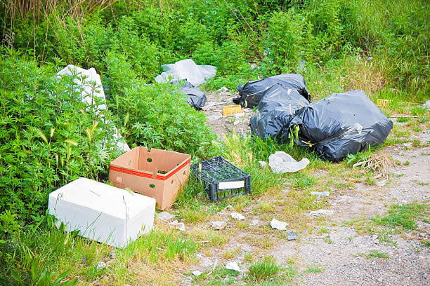 Illegal dumping in the nature stock photo