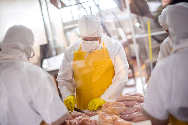 istock People working at a chicken factory 478007298