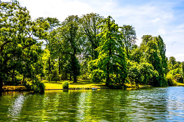 istock Green park with trees and lake during summer 478007440