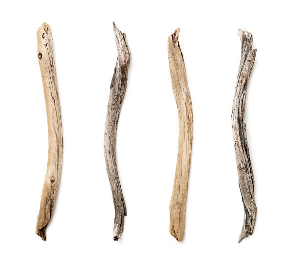 istock Set of dry tree branch 478011320