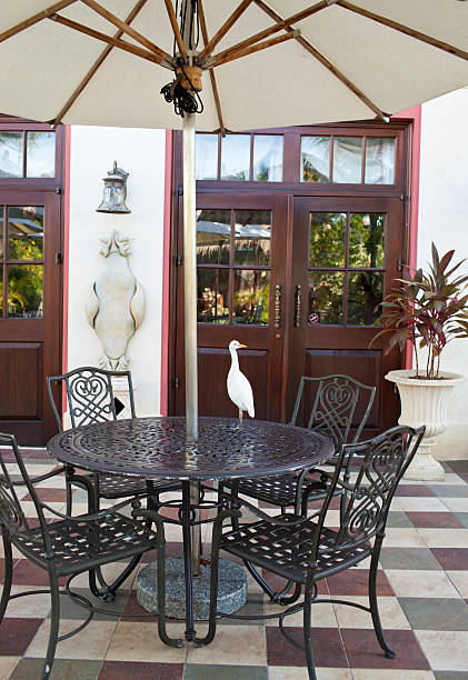 istock heron on a table in street cafe  tropics 478011452