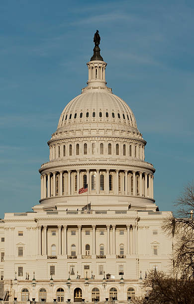 istock Front of the US Capitol 478011515