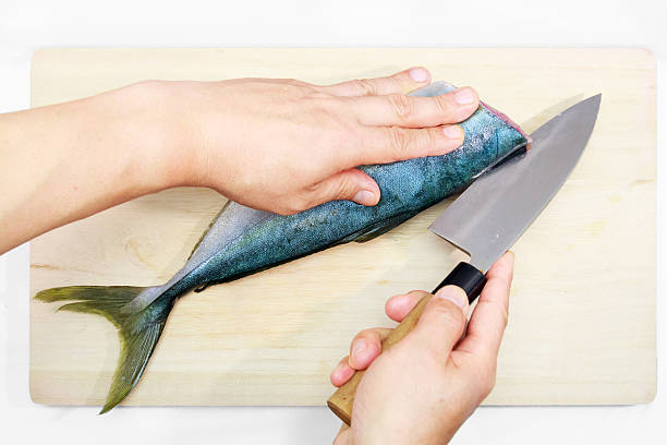 istock Preparing a Japanese yellowtail in the Japanese style 478011906
