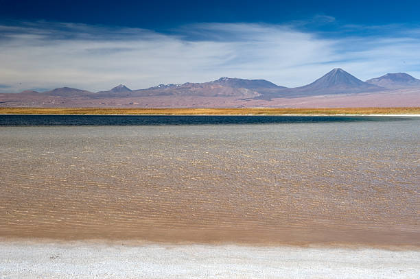 istock Laguna Cejas, Atacama desert, Chile 478012438