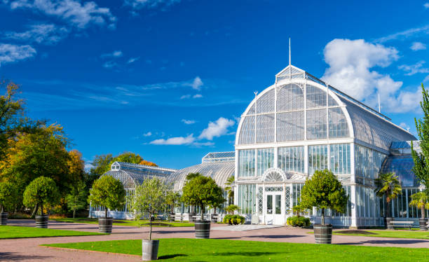 istock Gothenburg Palm house 478012721