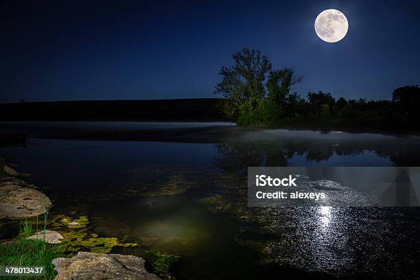 Mond Über See Stockfoto und mehr Bilder von Alge - Alge, Baum, Beleuchtet