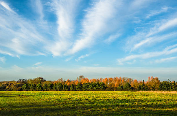 istock Landscape of a green meadow and a blue sky 478015566