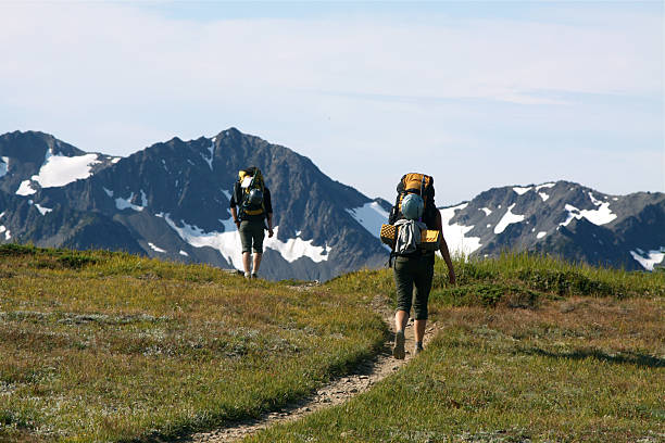 Hiking on an alpine trail in the Olympic National Park