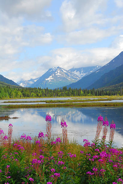 istock Alaskan Mountain & Lake Landscape 478017530