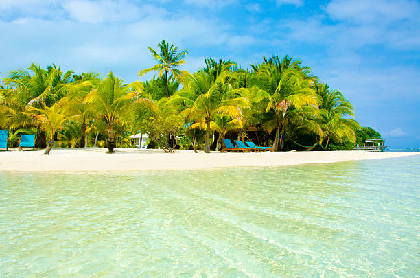 istock Paradise Beach on beautiful island 478017712