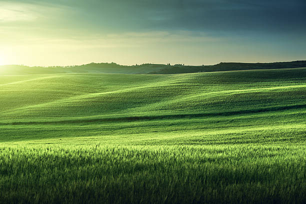 toscana, tramonto, italia - green slopes foto e immagini stock