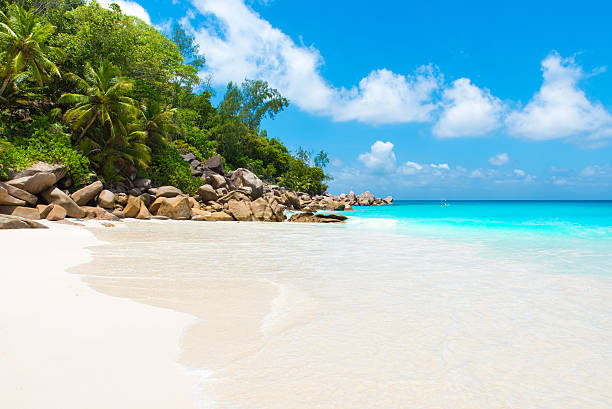istock Beautiful Paradise beach - Anse Georgette at Praslin, Seychelles 478017808