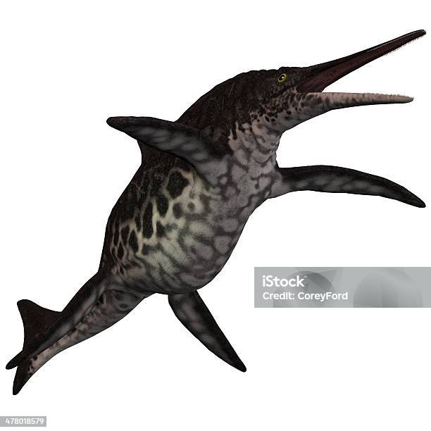 Shonisaurus Icthyosaur На Белом — стоковые фотографии и другие картинки Белый фон - Белый фон, Большой, Водный организм