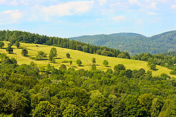 Eleganza paesaggio. - foto stock