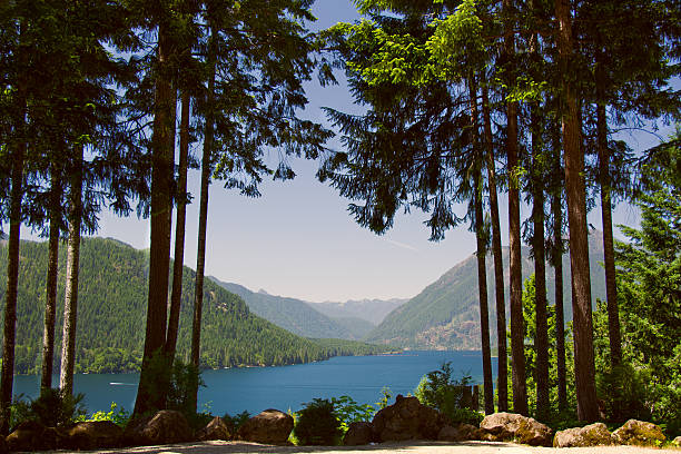 lago di cushman in estate - noontime foto e immagini stock