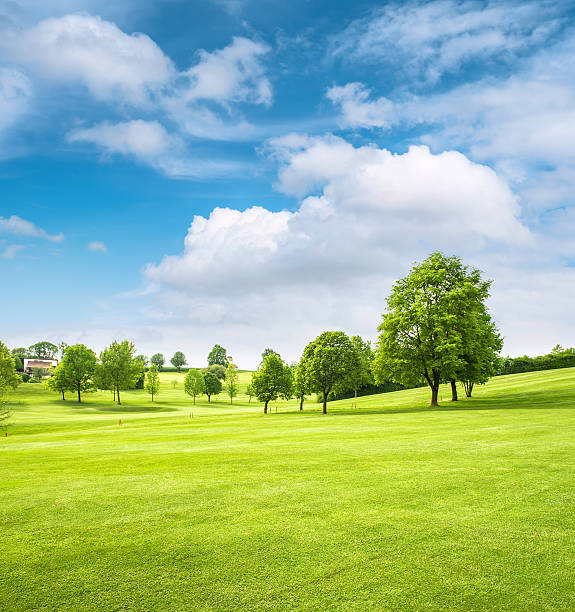 istock Beautiful european landscape. Spring field with green grass 478021400