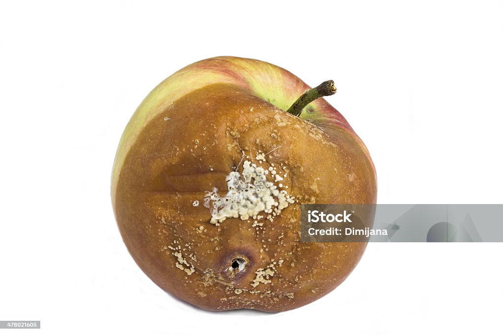 로튼 사과나무 - 로열티 프리 건강에 좋지 않은 음식 스톡 사진