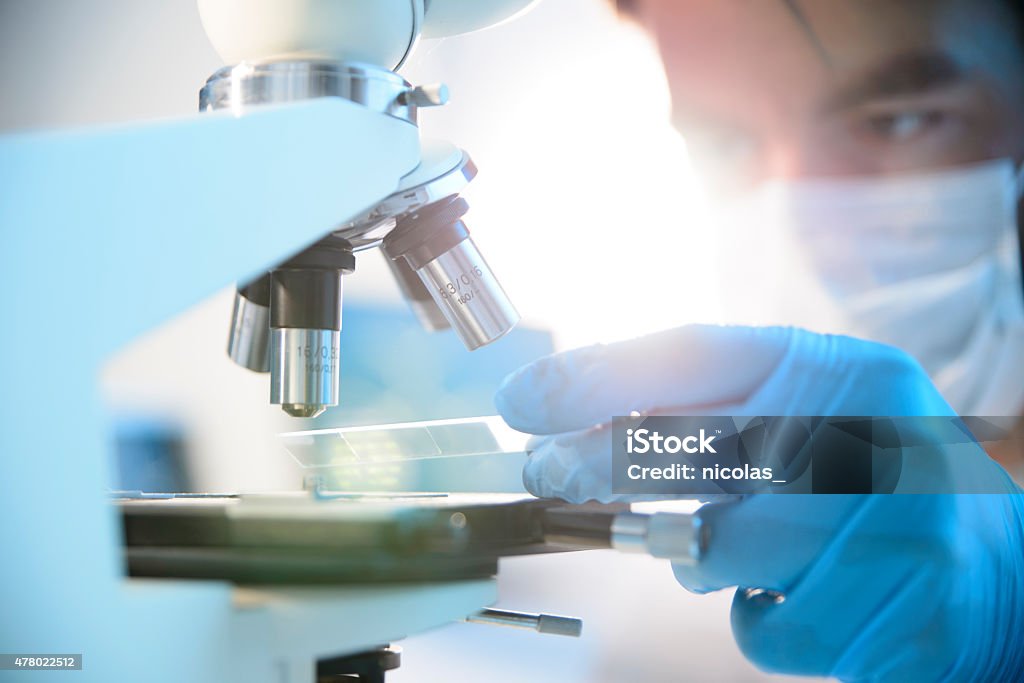 Microscope A scientist placing a slide under a microscope Microscope Stock Photo Microscope A scientist placing a slide under a microscope Microscope Stock Photo