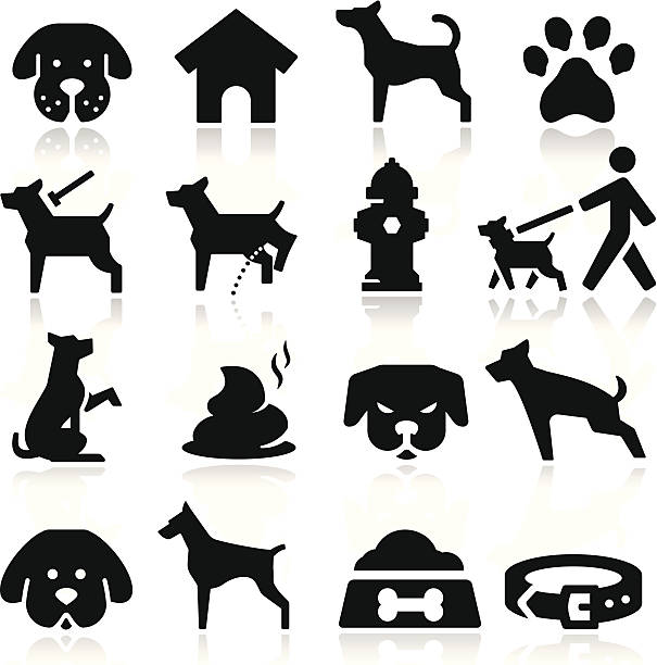 ilustrações, clipart, desenhos animados e ícones de cão de ícones - dog leash pets playing