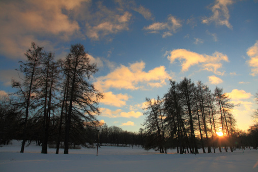 Sunset in the park in winter, Tallinn, Estonia