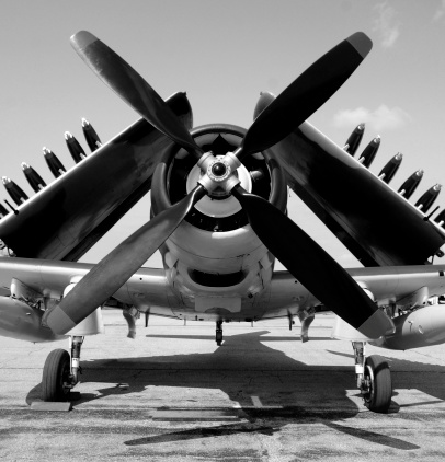 World War II era navy fighter plane with folded wings