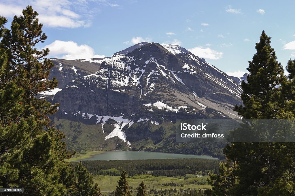 Primavera em Glacier Park - Foto de stock de Aventura royalty-free