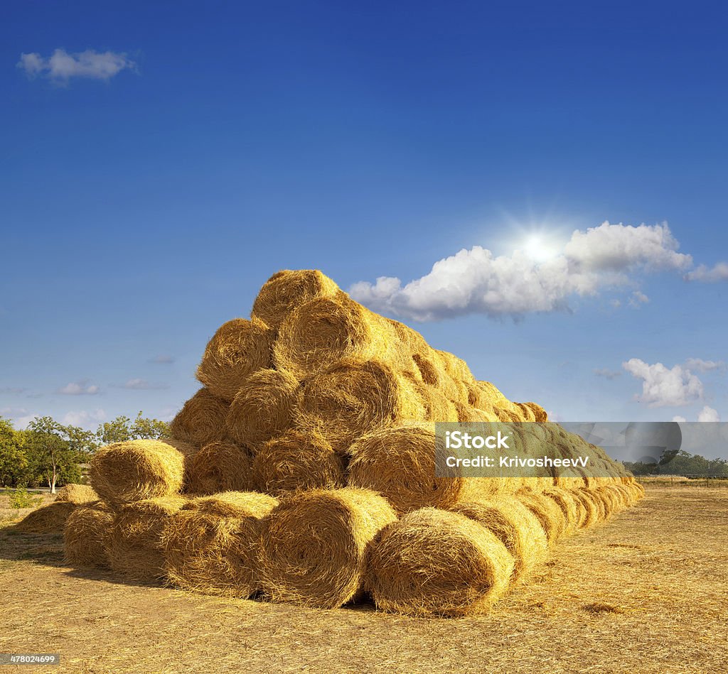Haystacks - Foto de stock de Agricultura royalty-free