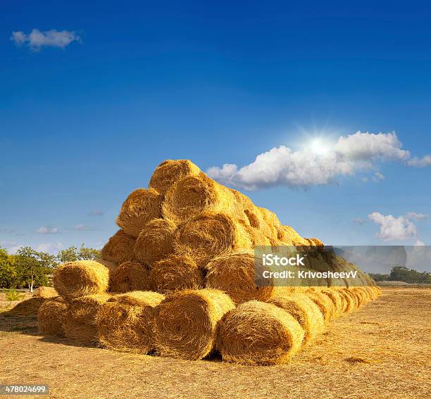 Foto de Haystacks e mais fotos de stock de Agricultura - Agricultura, Ajardinado, Amarelo