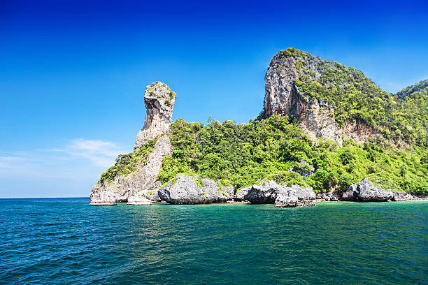 치킨 도서지역 - thailand beach longtail boat cliff 뉴스 사진 이미지