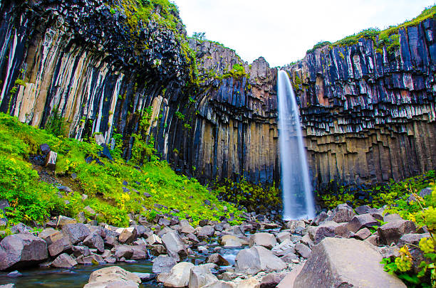 istock Svartifoss Waterfall in Iceland 478028352
