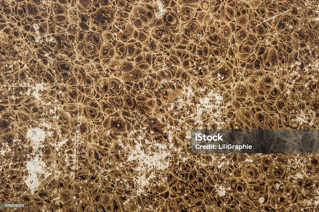 Animal leather pattern background. Used look paper texture Scratched background from animal leather pattern. Used look paper texture 2015 Stock Photo