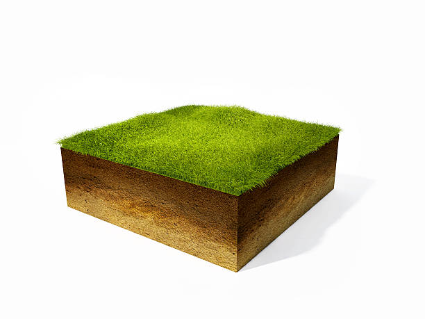 istock cross section of ground 478029762
