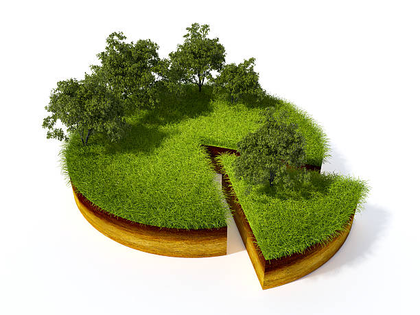istock cross section of ground 478029796