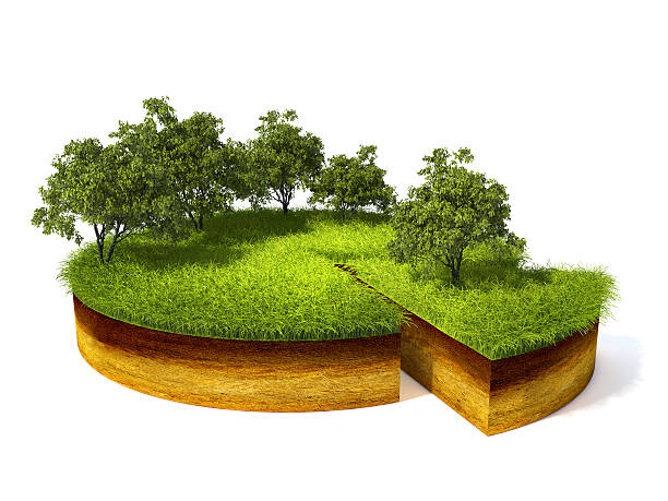istock cross section of ground 478029884