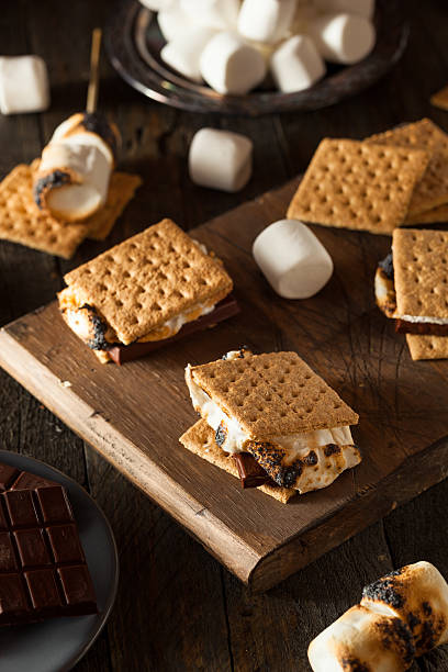 istock Homemade Gooey S'mores with Chocolate 478032582