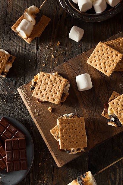 Homemade Gooey S'mores with Chocolate Homemade Gooey S'mores with Chocolate and Marshmallows smore photos stock pictures, royalty-free photos & images