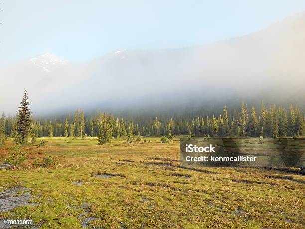 Mountain Wiese Am Morgen Stockfoto und mehr Bilder von Baum - Baum, Berg, Bundesstaat Washington