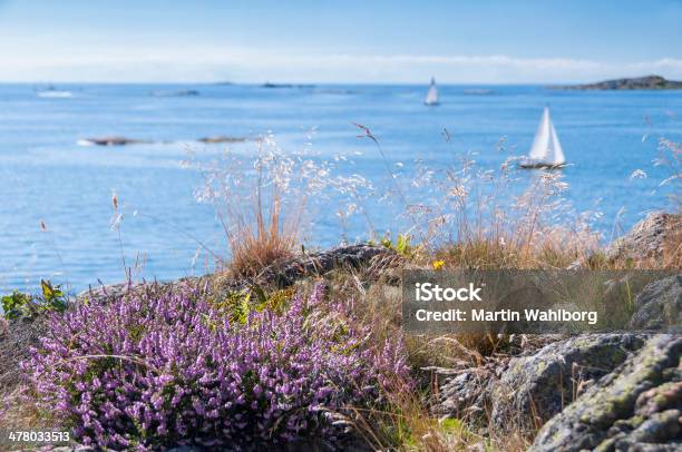 Foto de Bohuslan De Verão e mais fotos de stock de Verão - Verão, Suécia, Mar