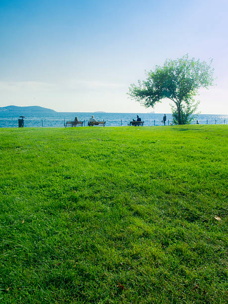 istock People Resting Near Grassed Coast 478036916