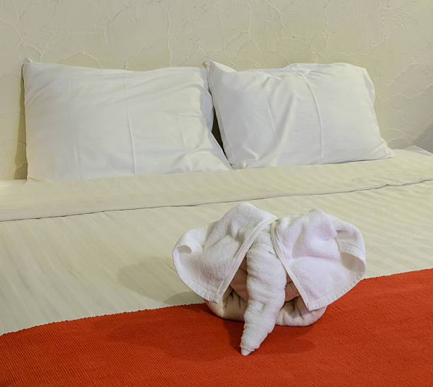 istock White towel in form of elephant on bed 478038664